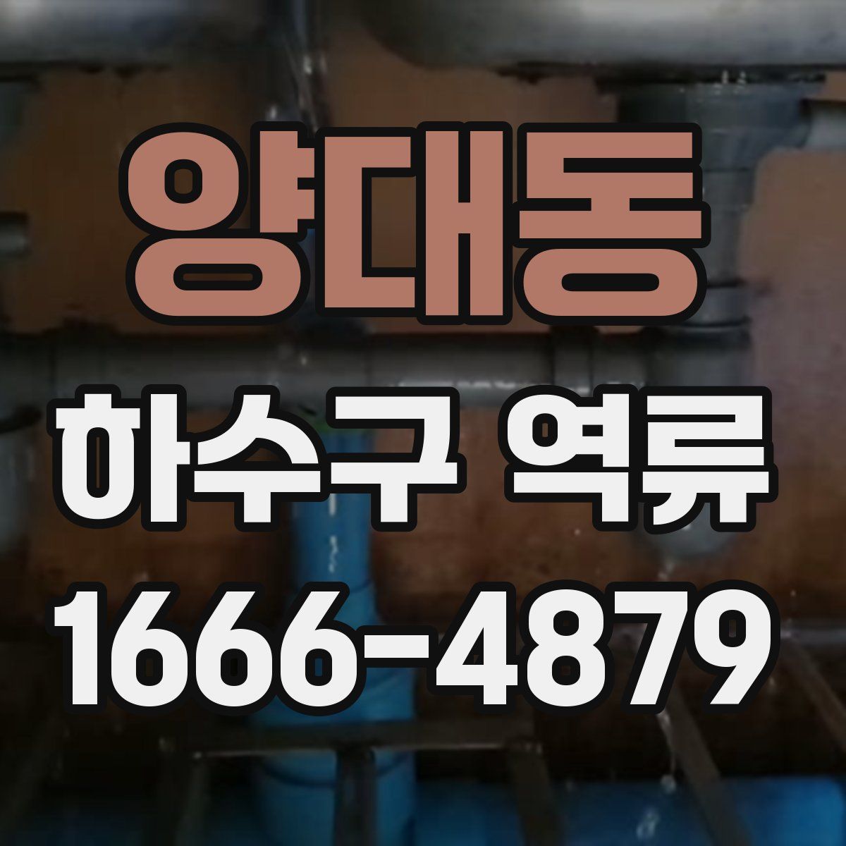양대동 하수구 역류