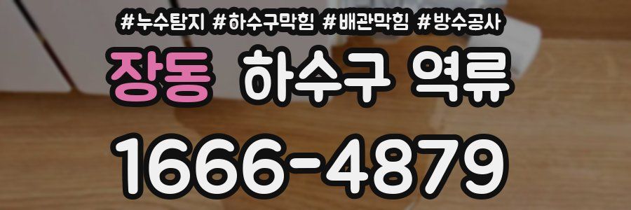 장동 하수구 역류