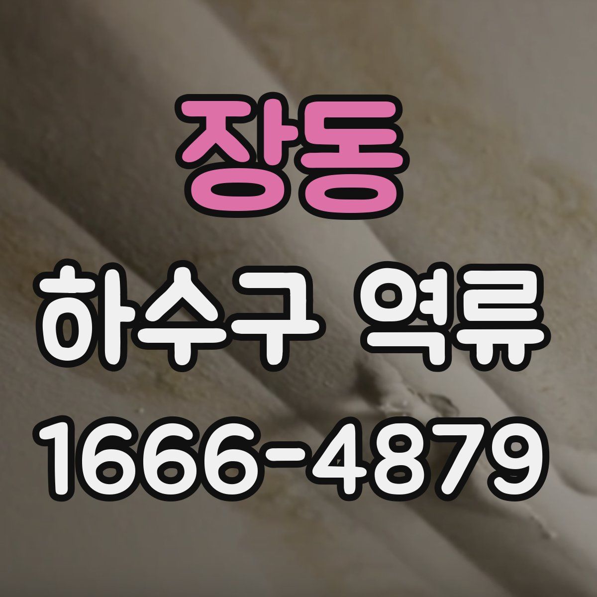 장동 하수구 역류