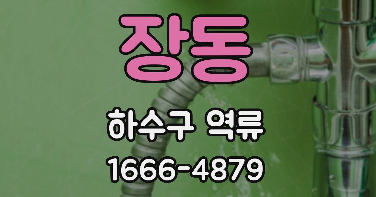장동 하수구 역류