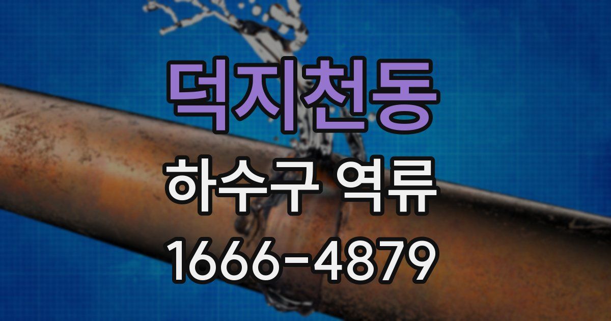 덕지천동 하수구 역류