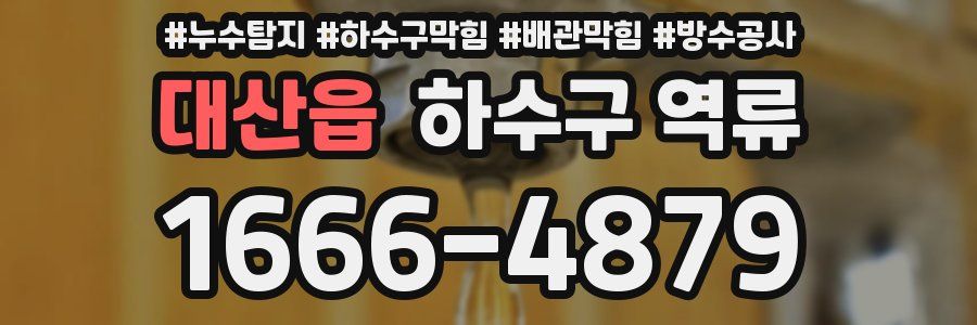 대산읍 하수구 역류