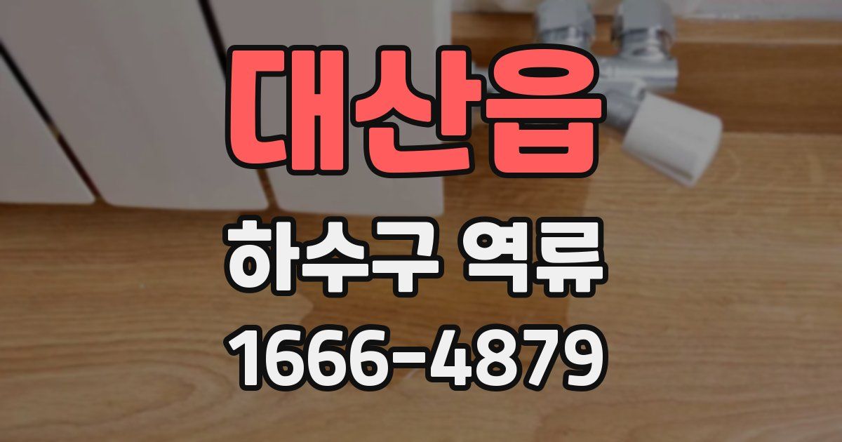대산읍 하수구 역류