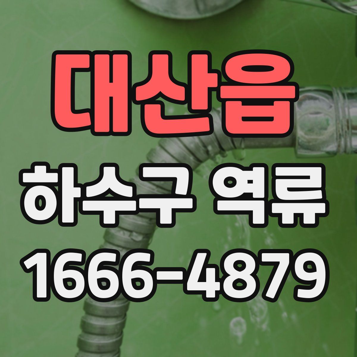대산읍 하수구 역류