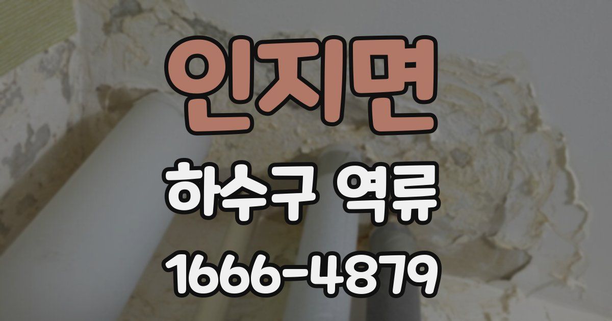 인지면 하수구 역류