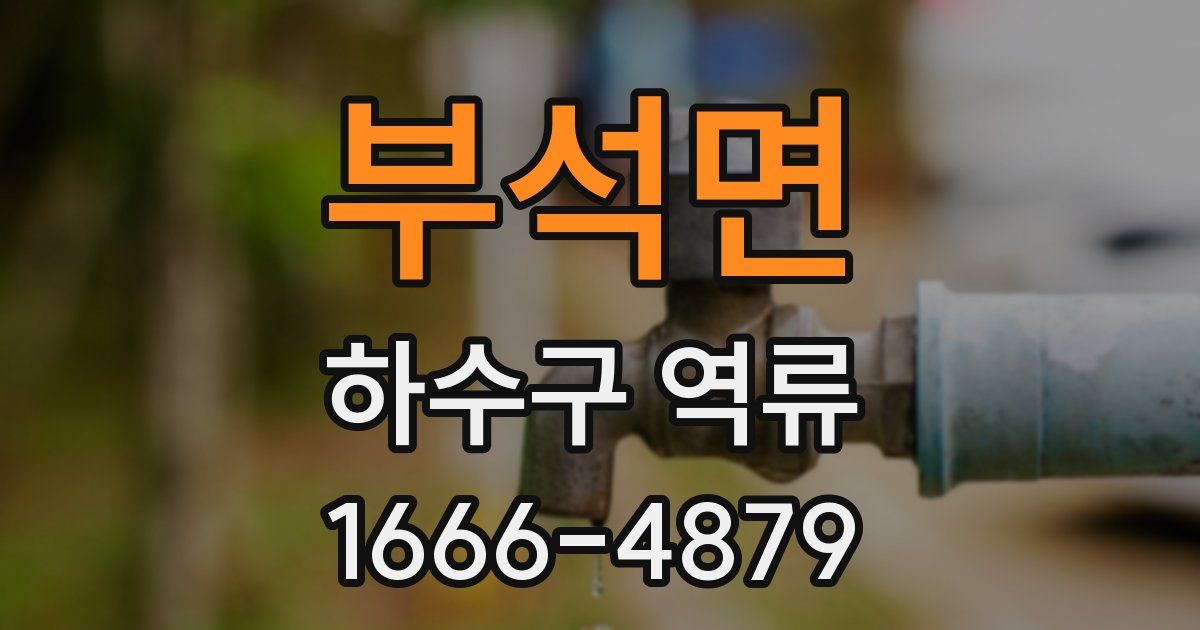 부석면 하수구 역류