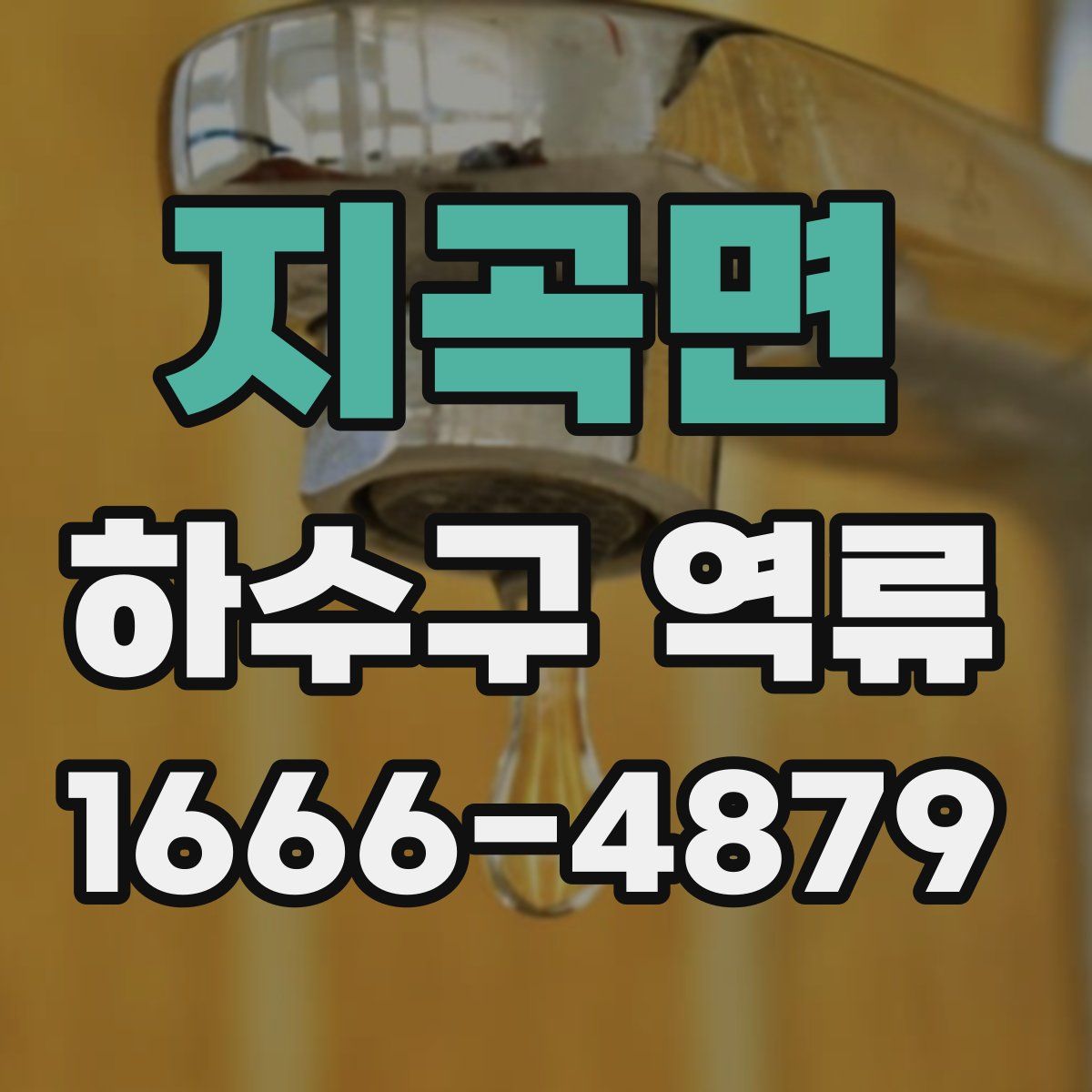 지곡면 하수구 역류