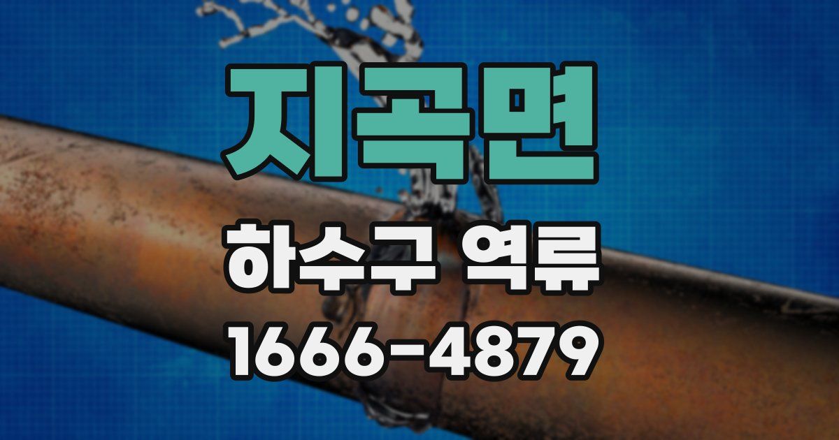 지곡면 하수구 역류