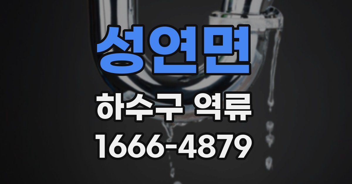 성연면 하수구 역류