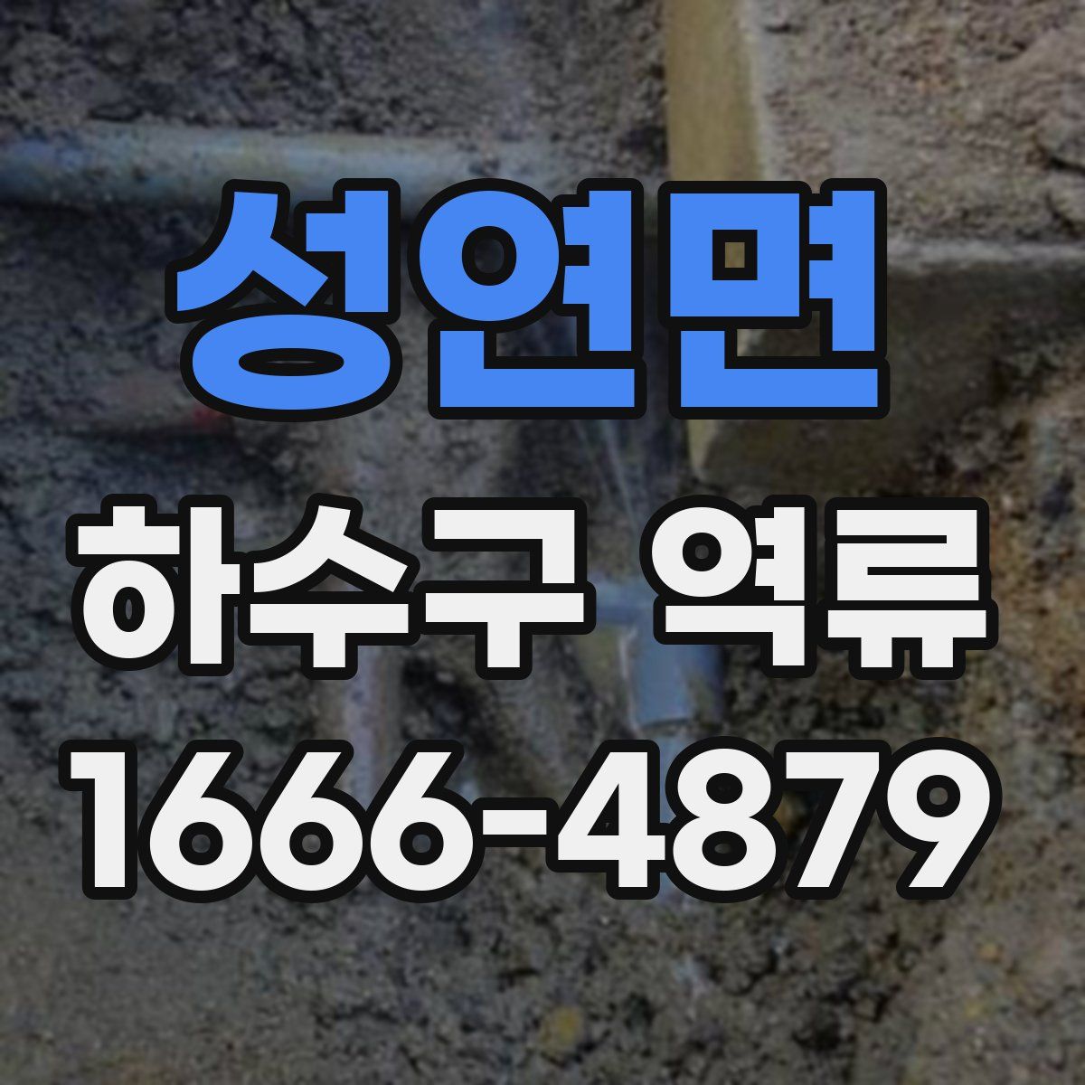 성연면 하수구 역류
