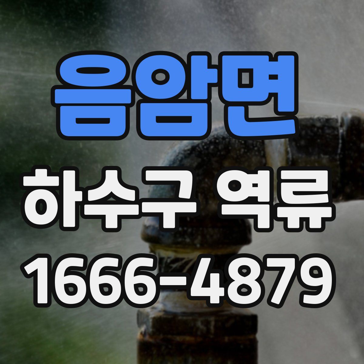 음암면 하수구 역류