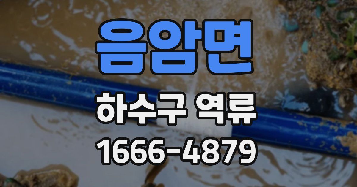 음암면 하수구 역류