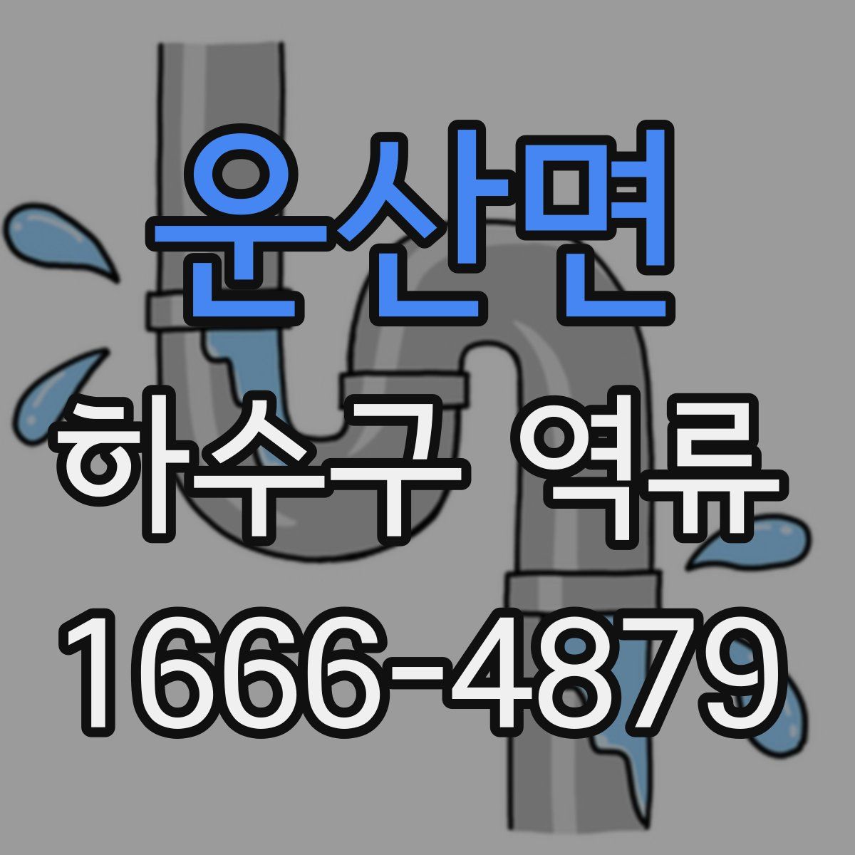 운산면 하수구 역류