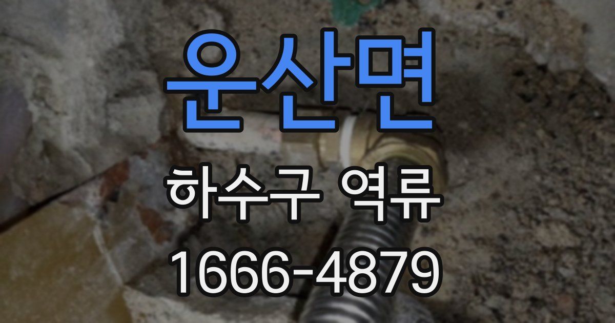 운산면 하수구 역류