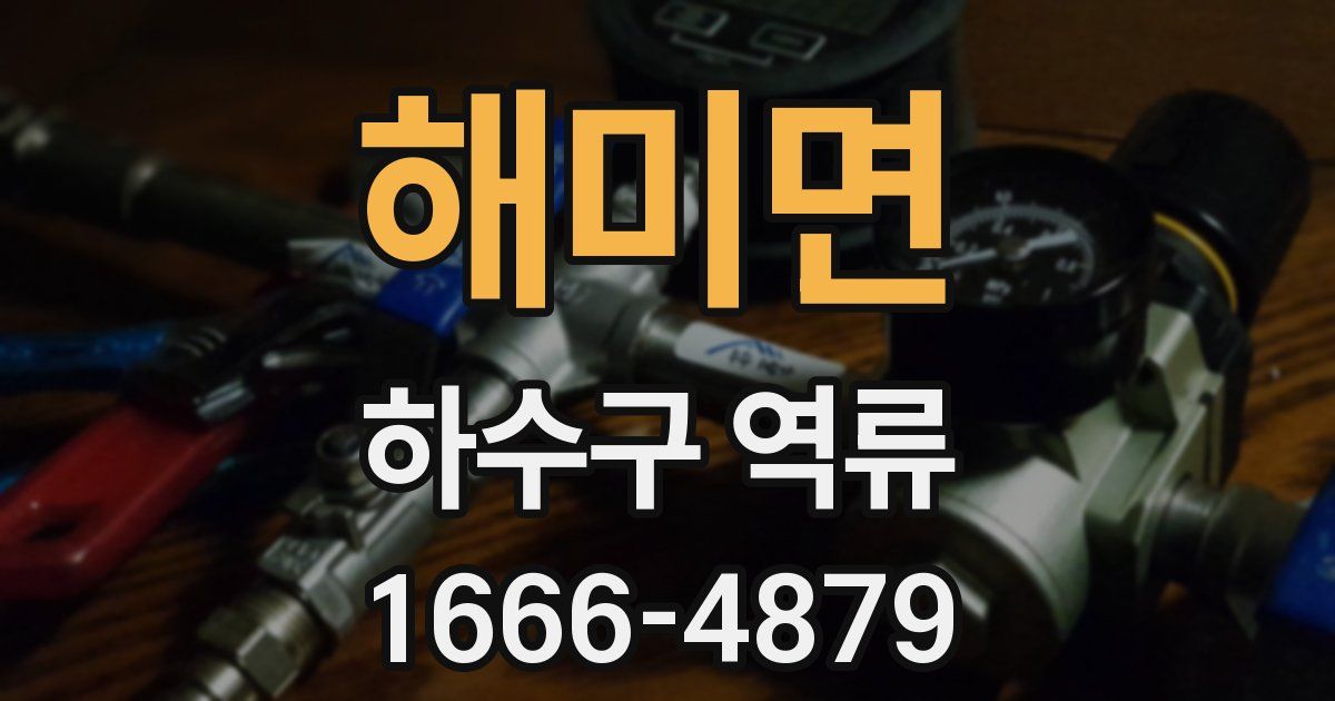 해미면 하수구 역류