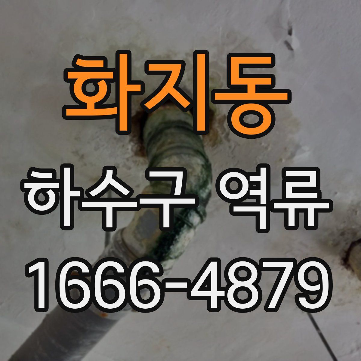 화지동 하수구 역류