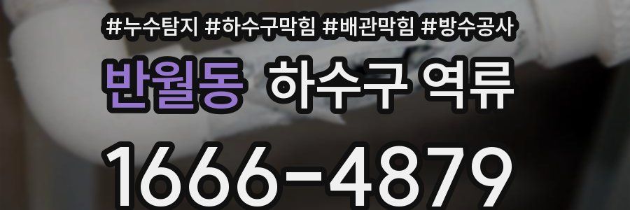 반월동 하수구 역류