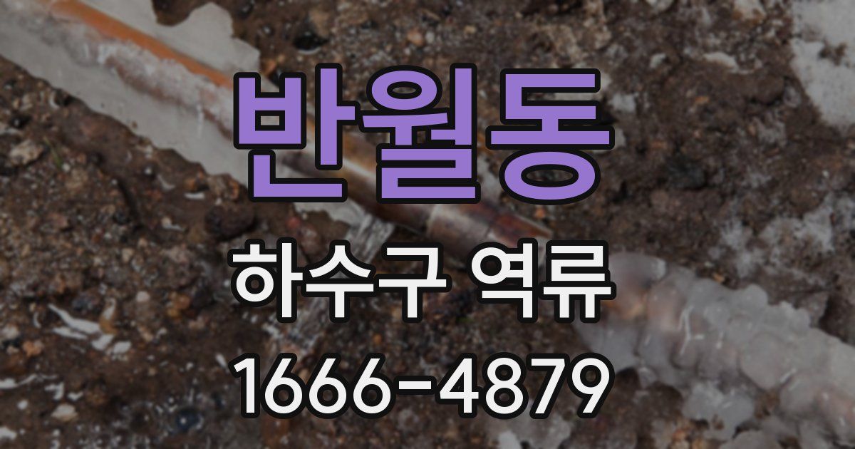 반월동 하수구 역류