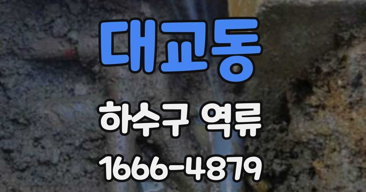 대교동 하수구 역류