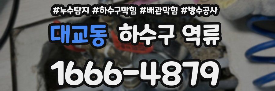 대교동 하수구 역류