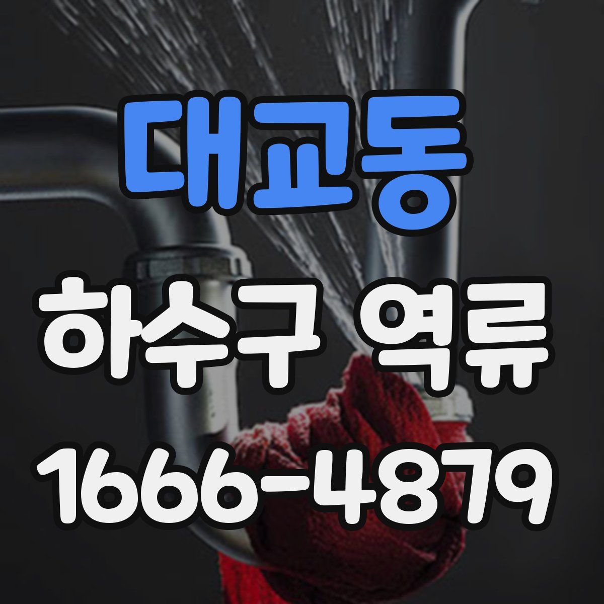 대교동 하수구 역류