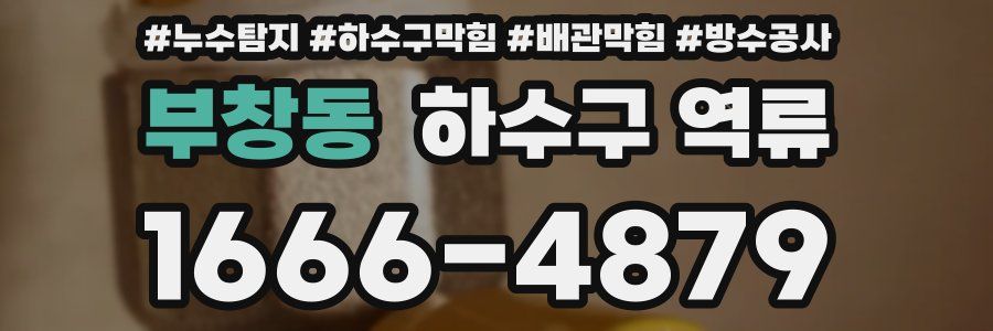 부창동 하수구 역류