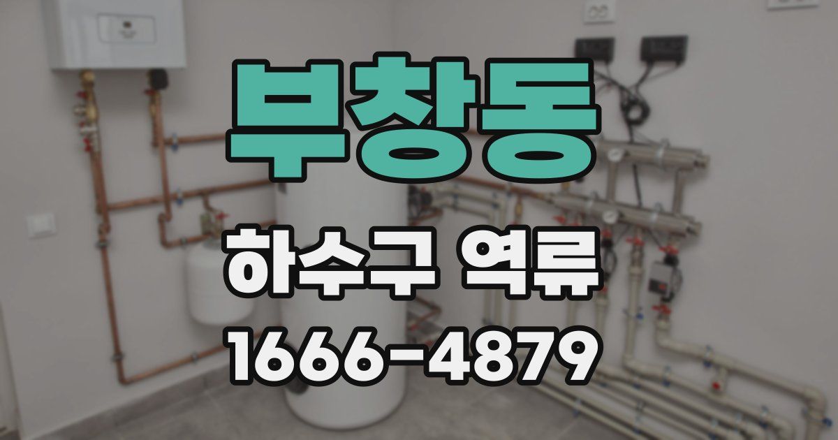 부창동 하수구 역류