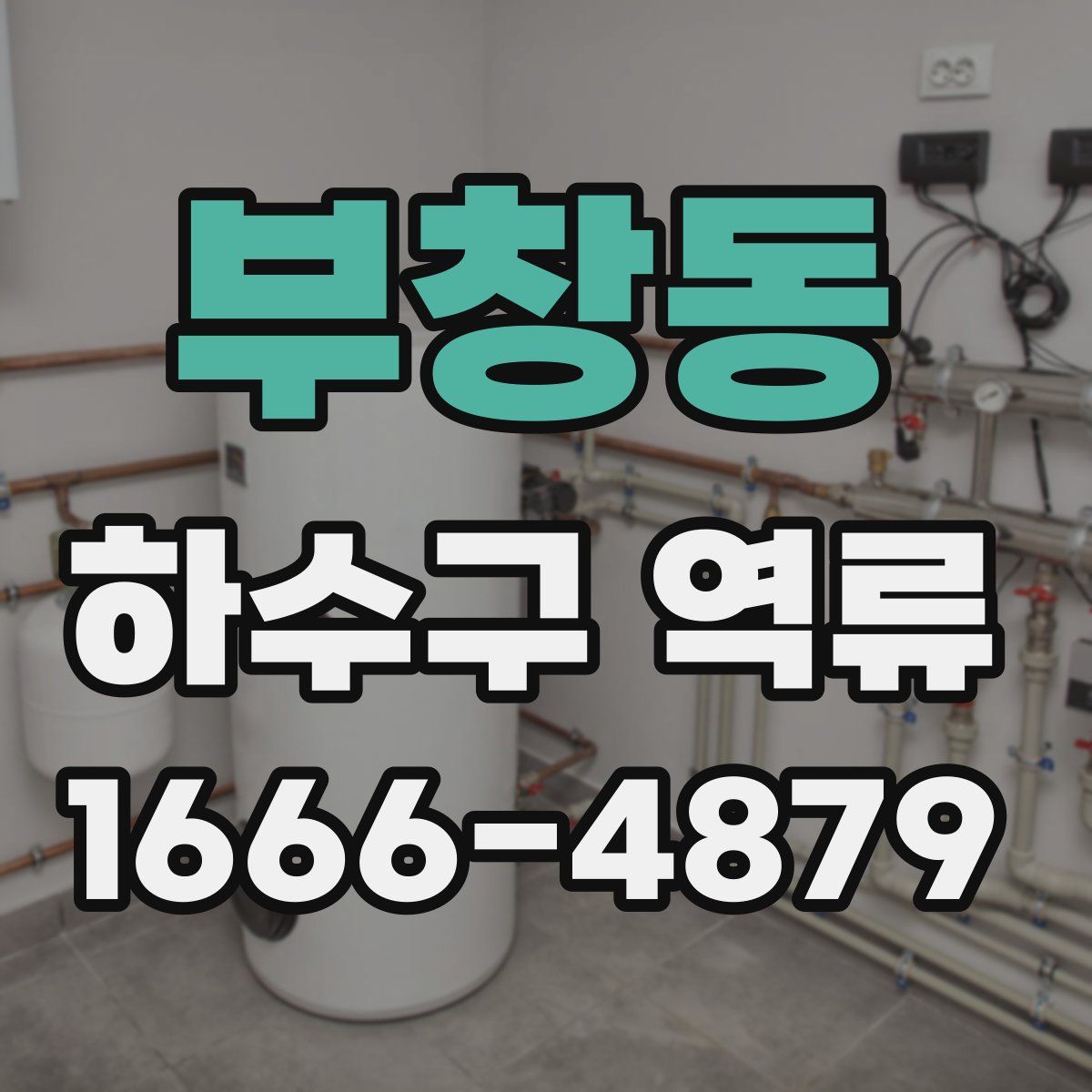 부창동 하수구 역류