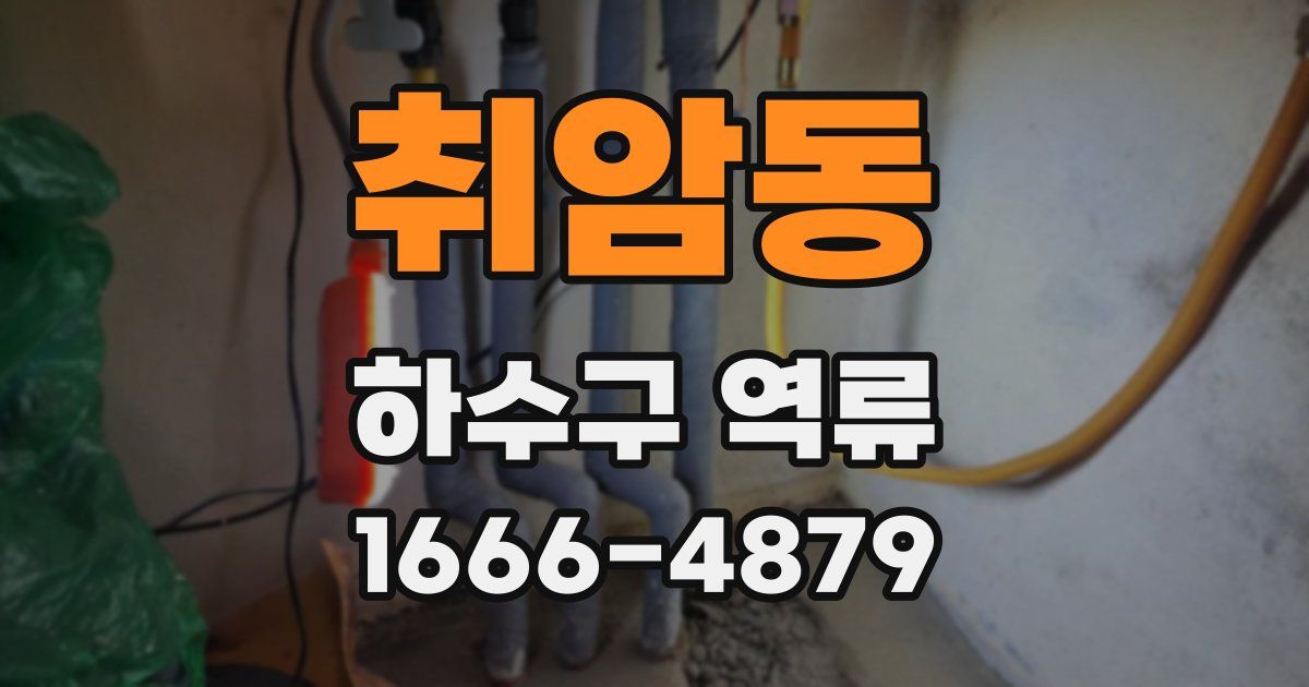 취암동 하수구 역류