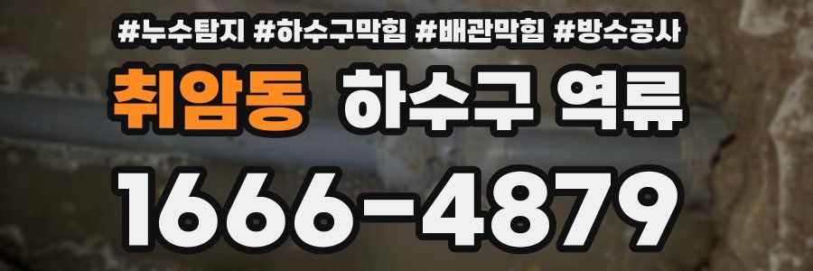 취암동 하수구 역류