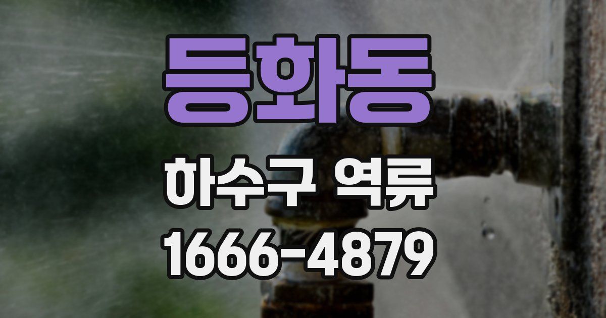 등화동 하수구 역류