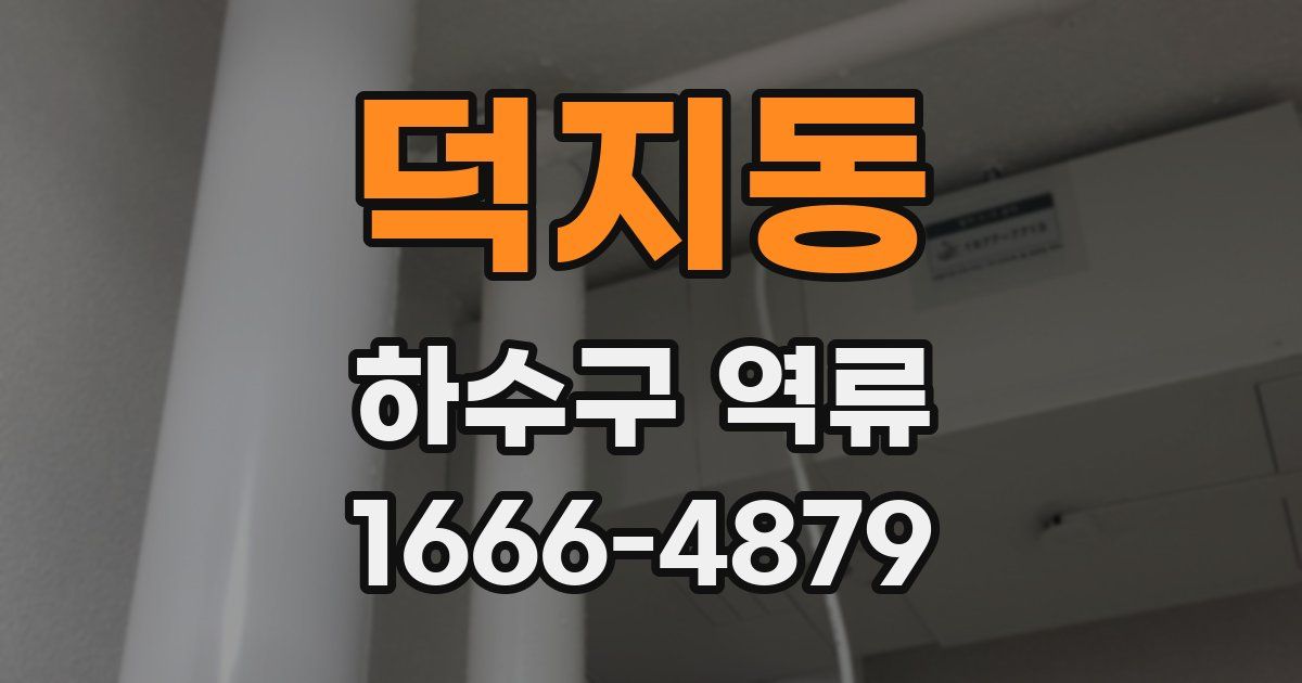 덕지동 하수구 역류