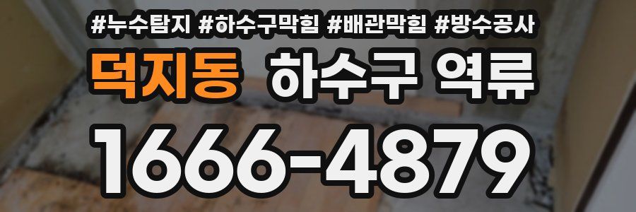 덕지동 하수구 역류