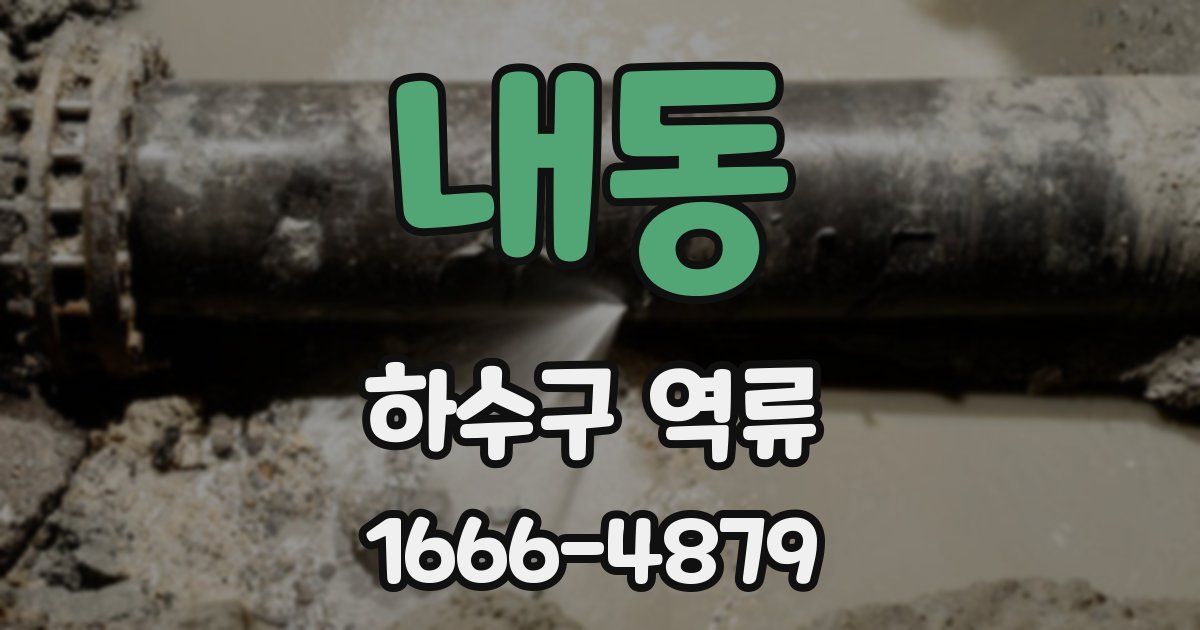 내동 하수구 역류