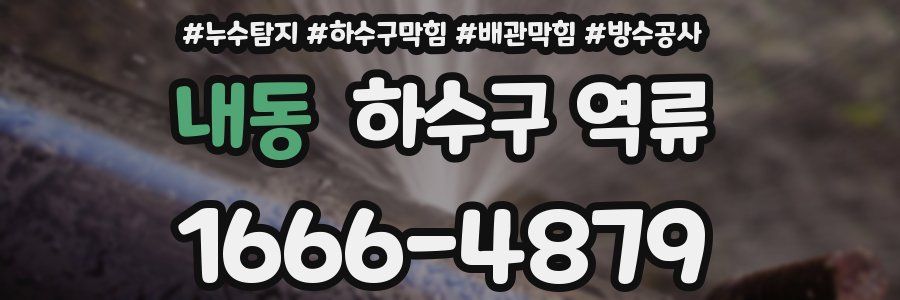 내동 하수구 역류