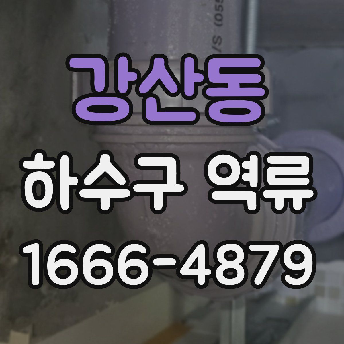 강산동 하수구 역류