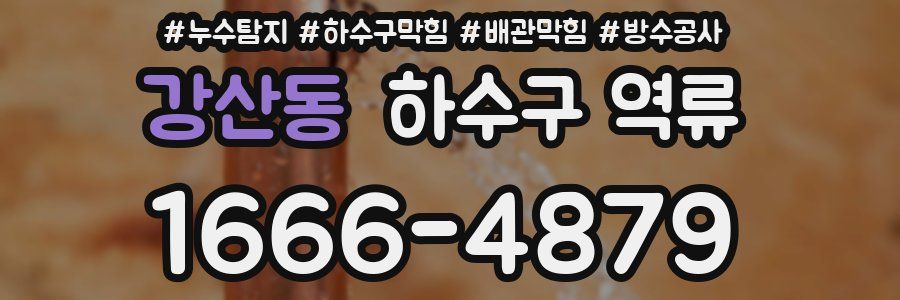 강산동 하수구 역류
