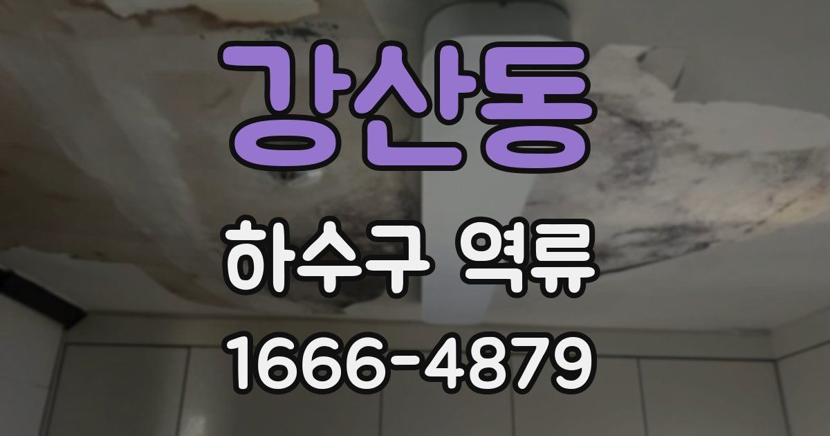 강산동 하수구 역류