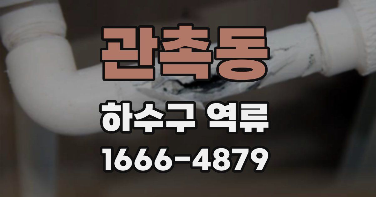 관촉동 하수구 역류