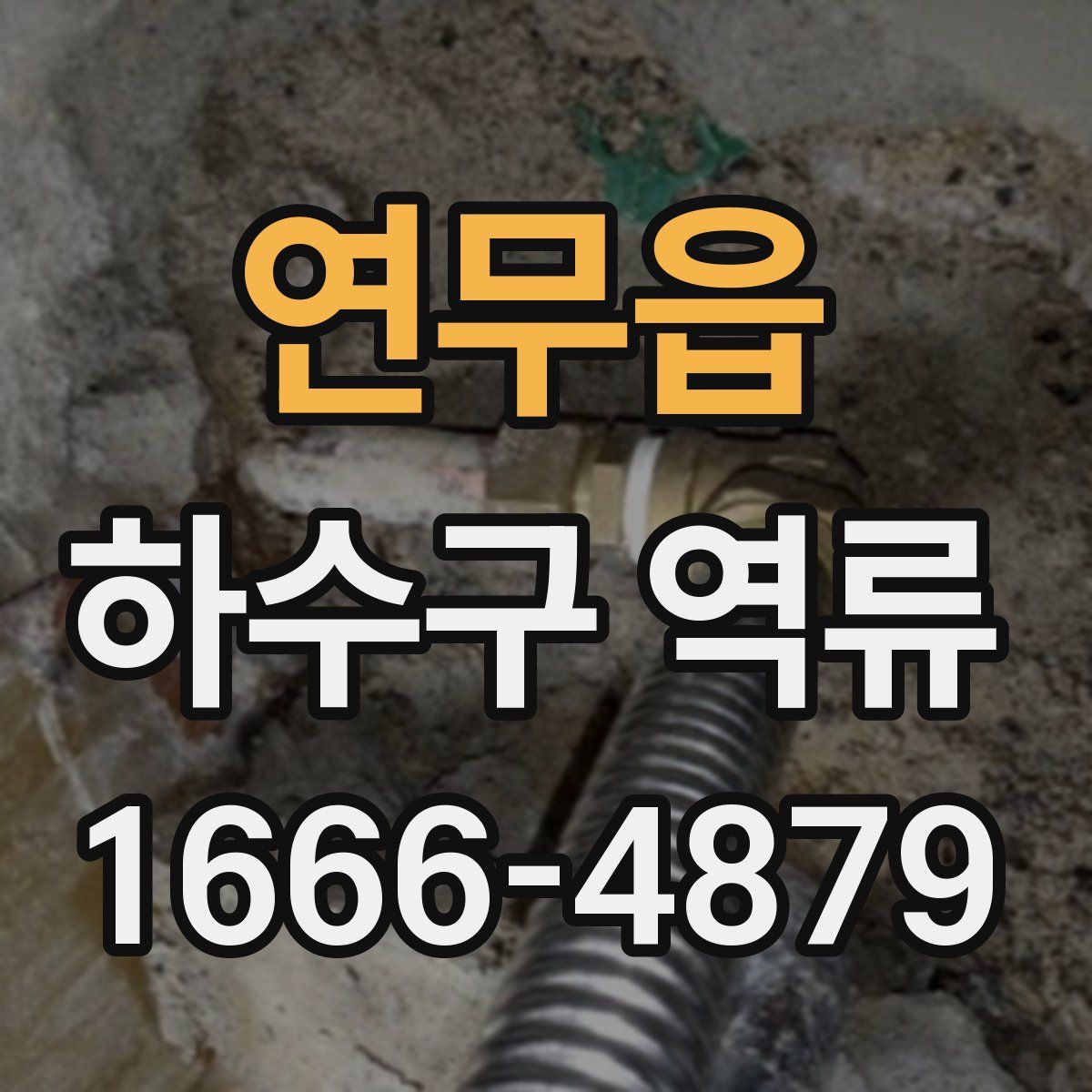연무읍 하수구 역류