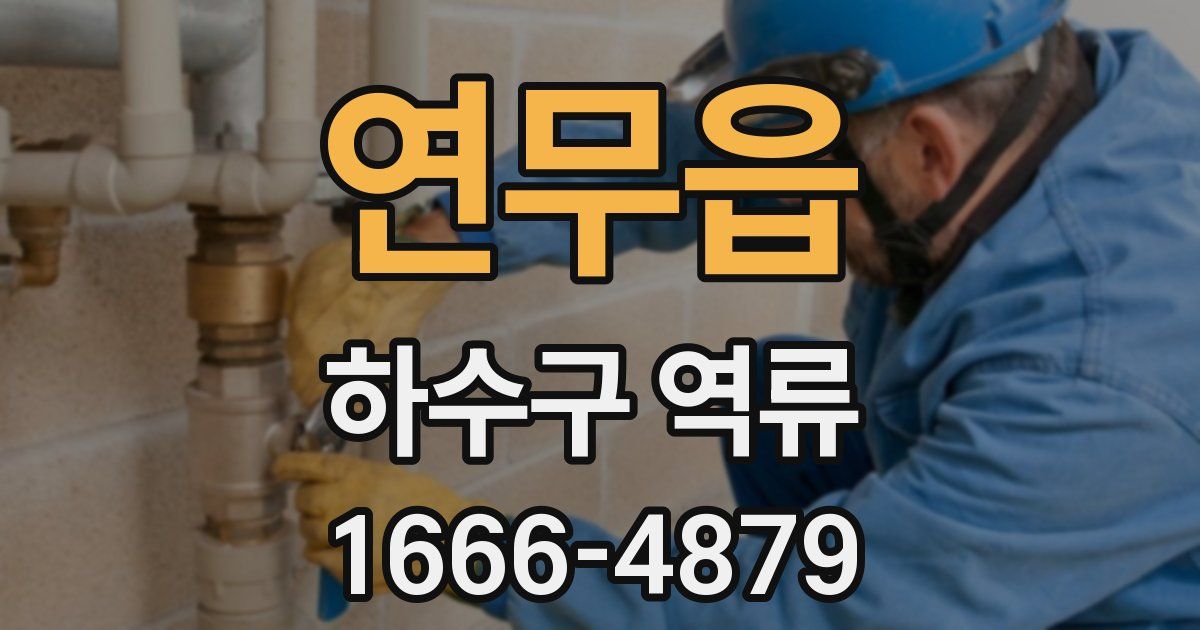 연무읍 하수구 역류