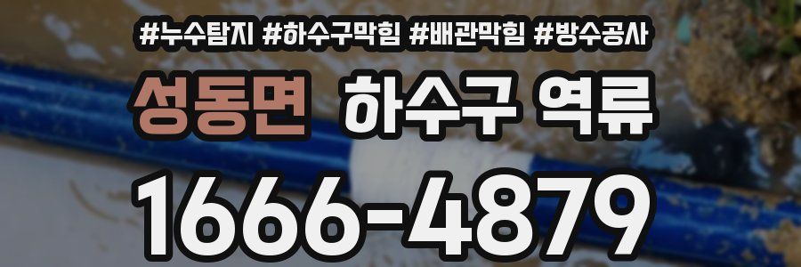 성동면 하수구 역류