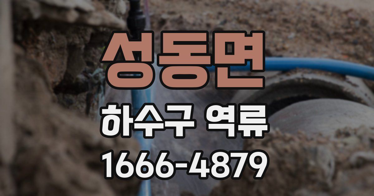 성동면 하수구 역류