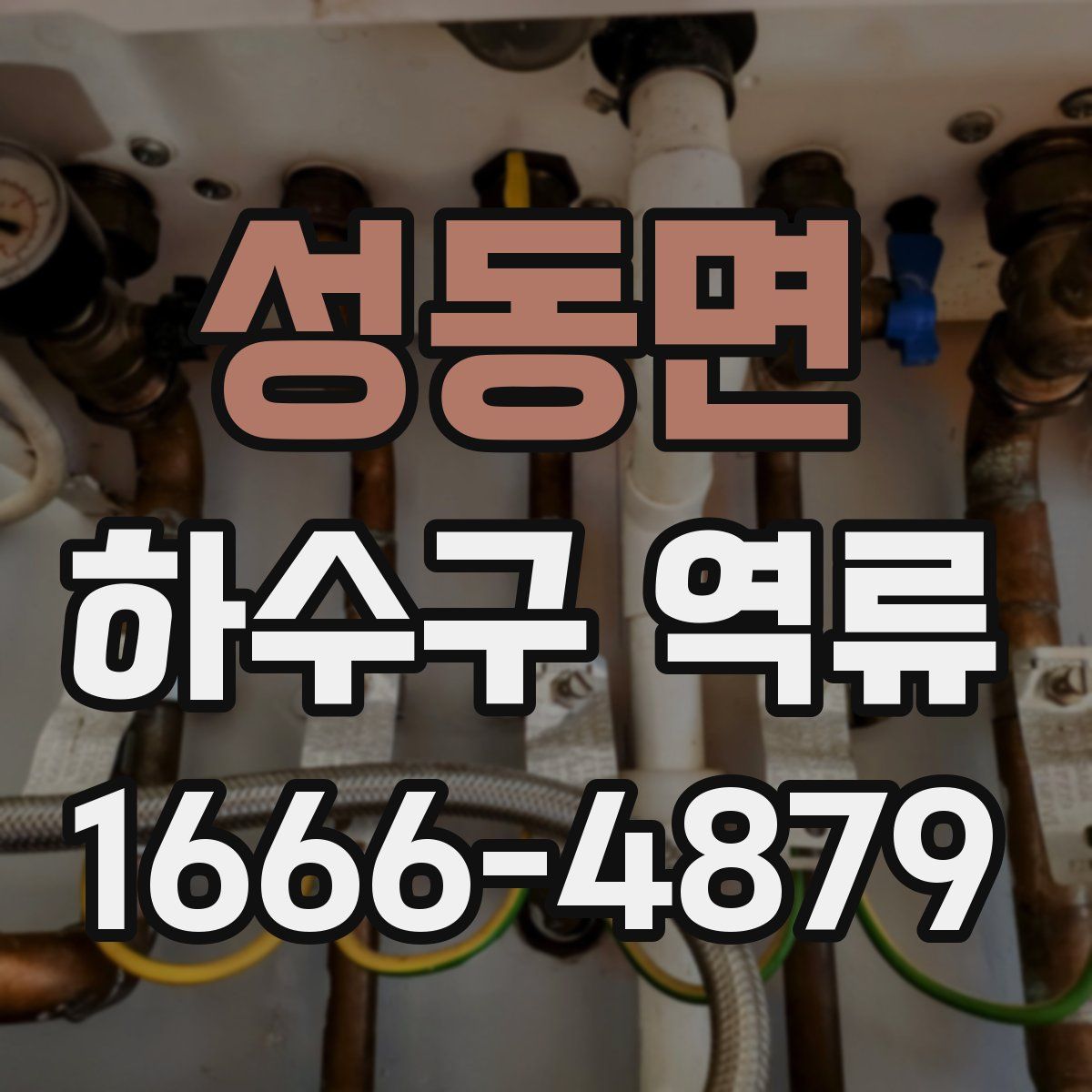성동면 하수구 역류