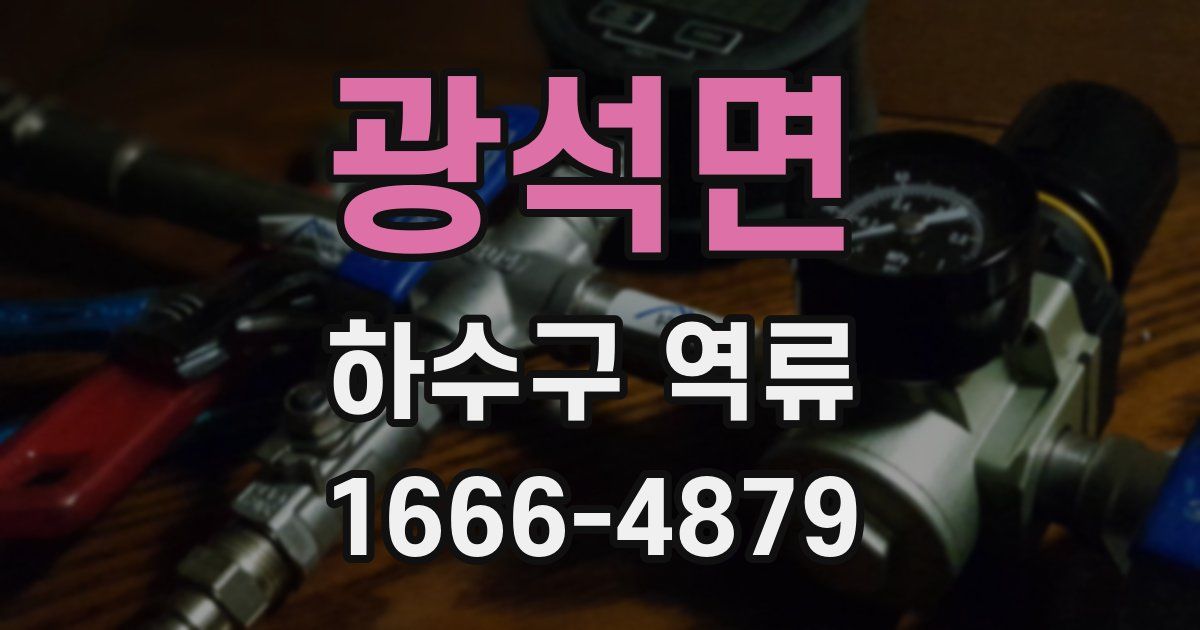 광석면 하수구 역류