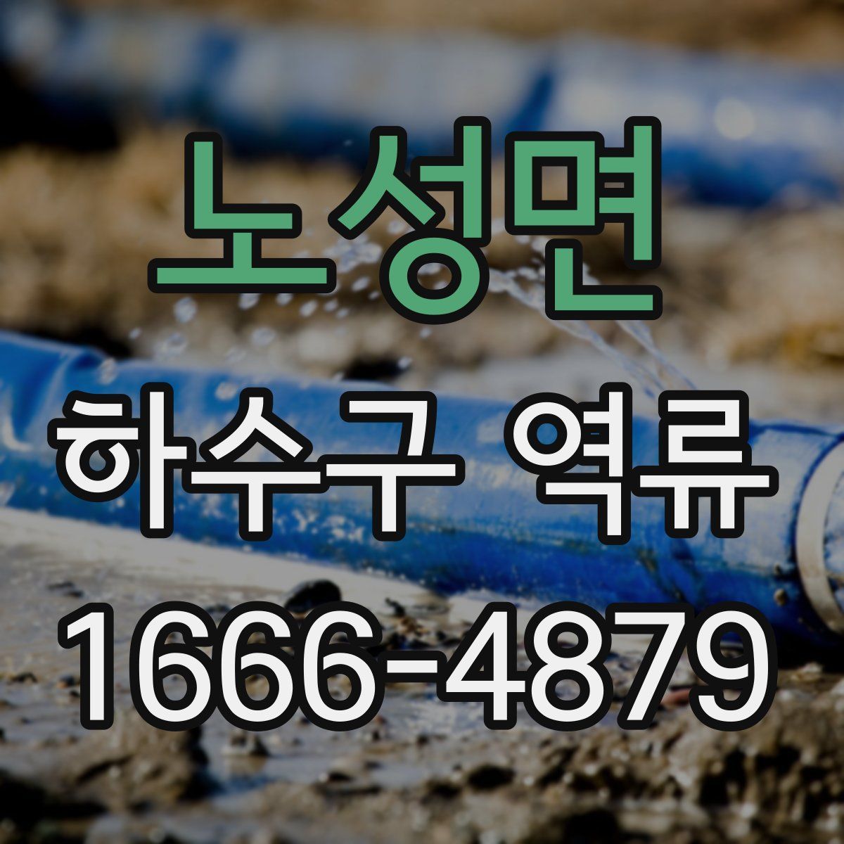 노성면 하수구 역류