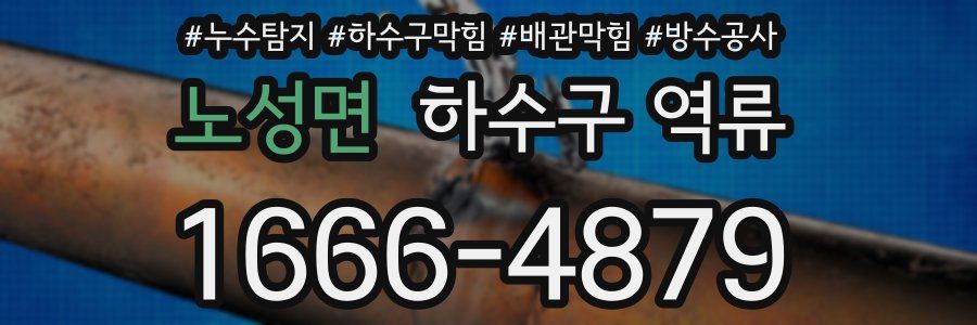 노성면 하수구 역류