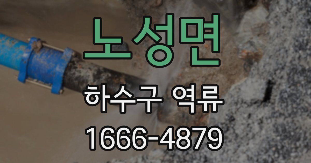 노성면 하수구 역류
