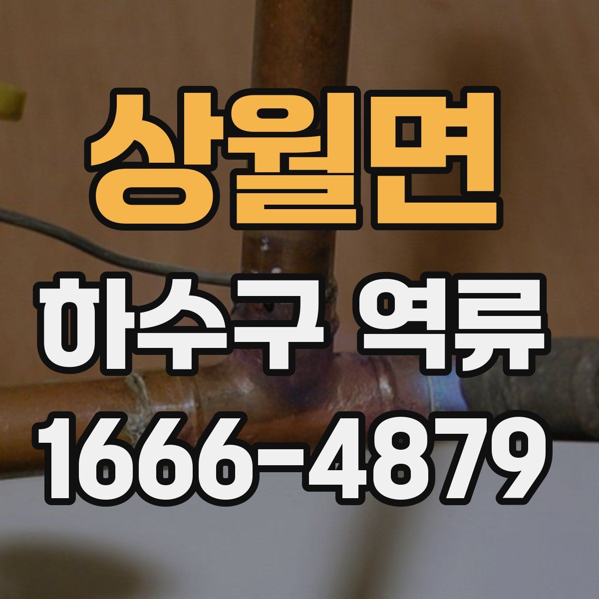 상월면 하수구 역류