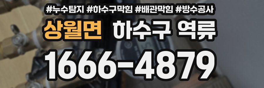 상월면 하수구 역류